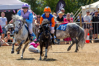 County Show
