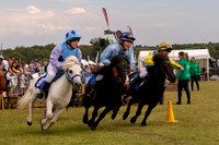 County show